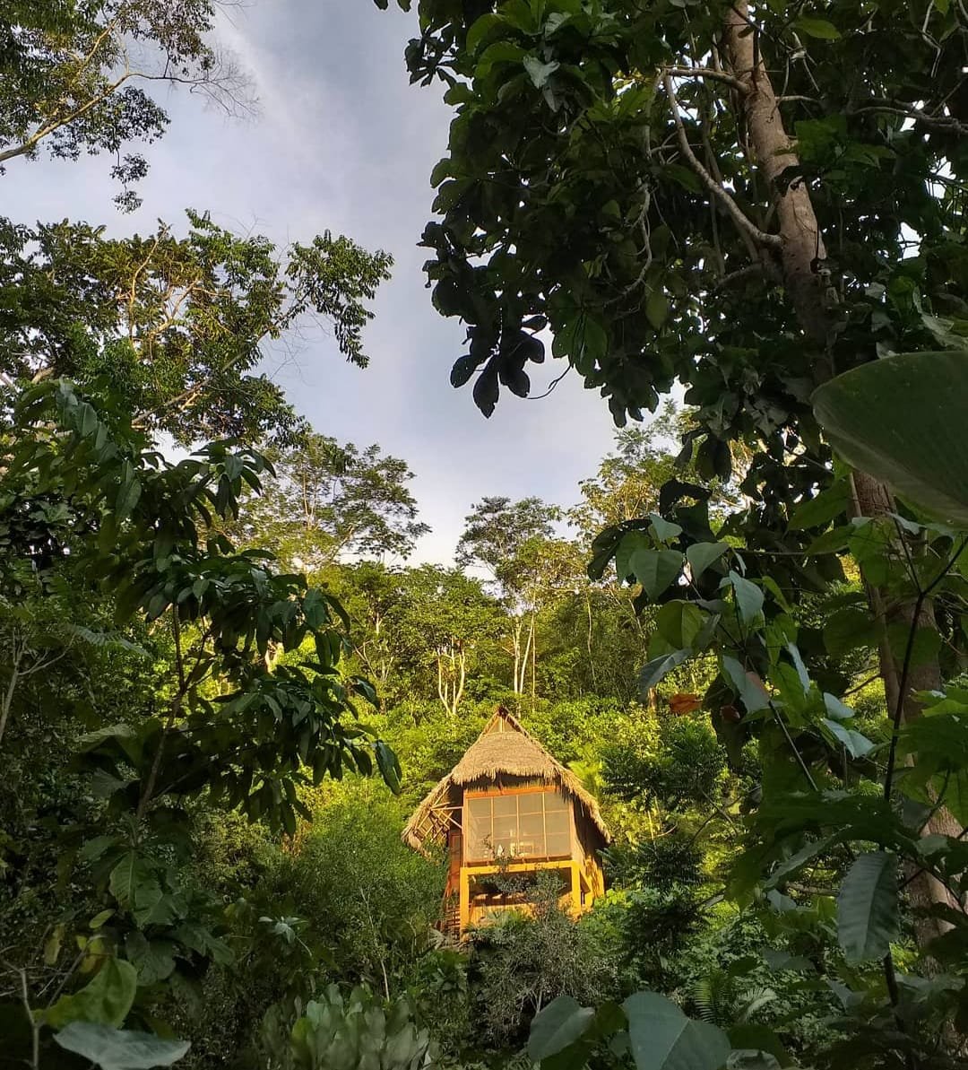 Exclusividad natural: Venta de lodge rodeado de árboles y río en Tarapoto